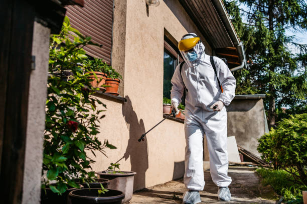 Best Flea Control Services  in Fairview Shores, FL