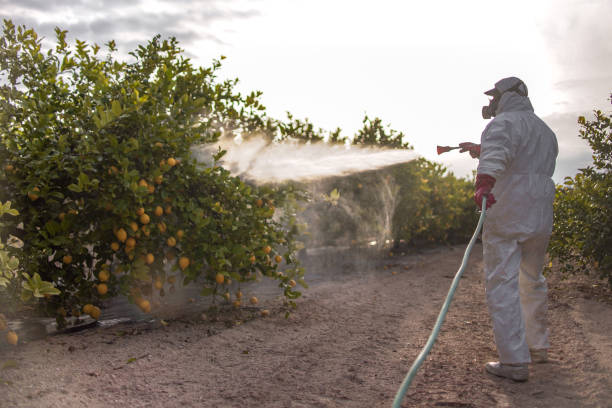 Best Flea Control Services  in Fairview Shores, FL