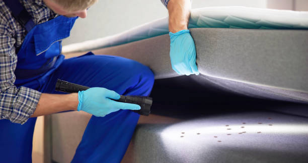 Best Best Pest Control Companies  in Fairview Shores, FL